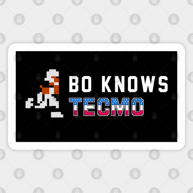 Bo Knows Tecmo Magnet by BodinStreet